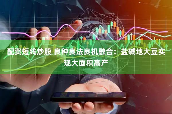 配资短线炒股 良种良法良机融合：盐碱地大豆实现大面积高产