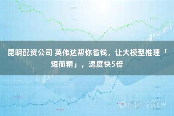 昆明配资公司 英伟达帮你省钱，让大模型推理「短而精」，速度快5倍