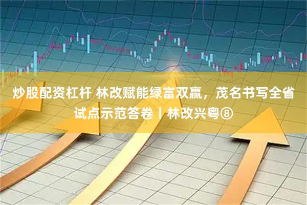 炒股配资杠杆 林改赋能绿富双赢，茂名书写全省试点示范答卷丨林改兴粤⑧