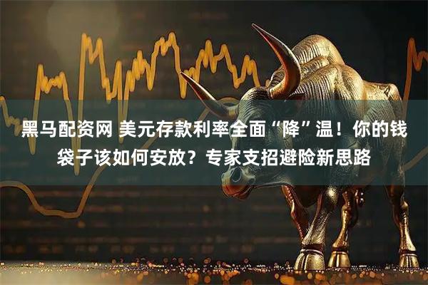 黑马配资网 美元存款利率全面“降”温！你的钱袋子该如何安放？专家支招避险新思路