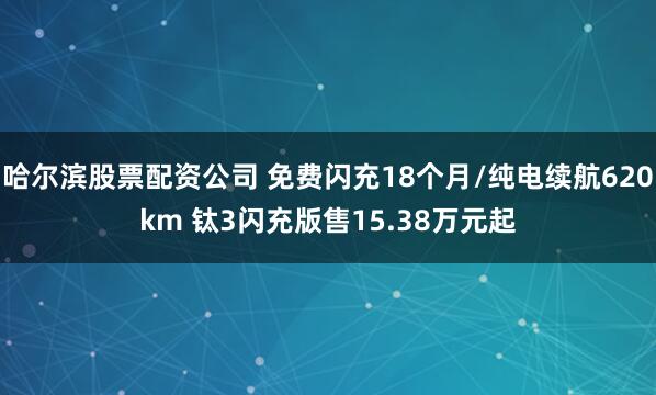 哈尔滨股票配资公司 免费闪充18个月/纯电续航620km 钛3闪充版售15.38万元起